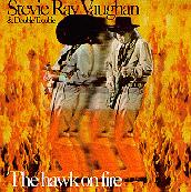 Hawk On Fire